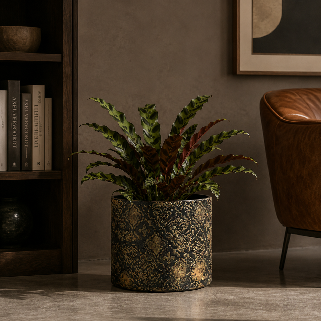Premium Baroque