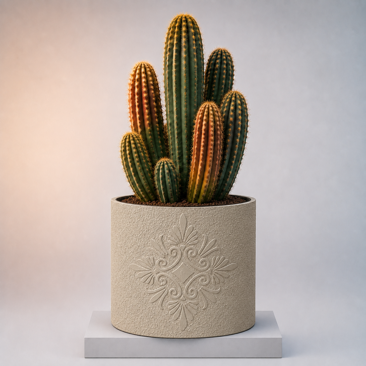 Premium Flora