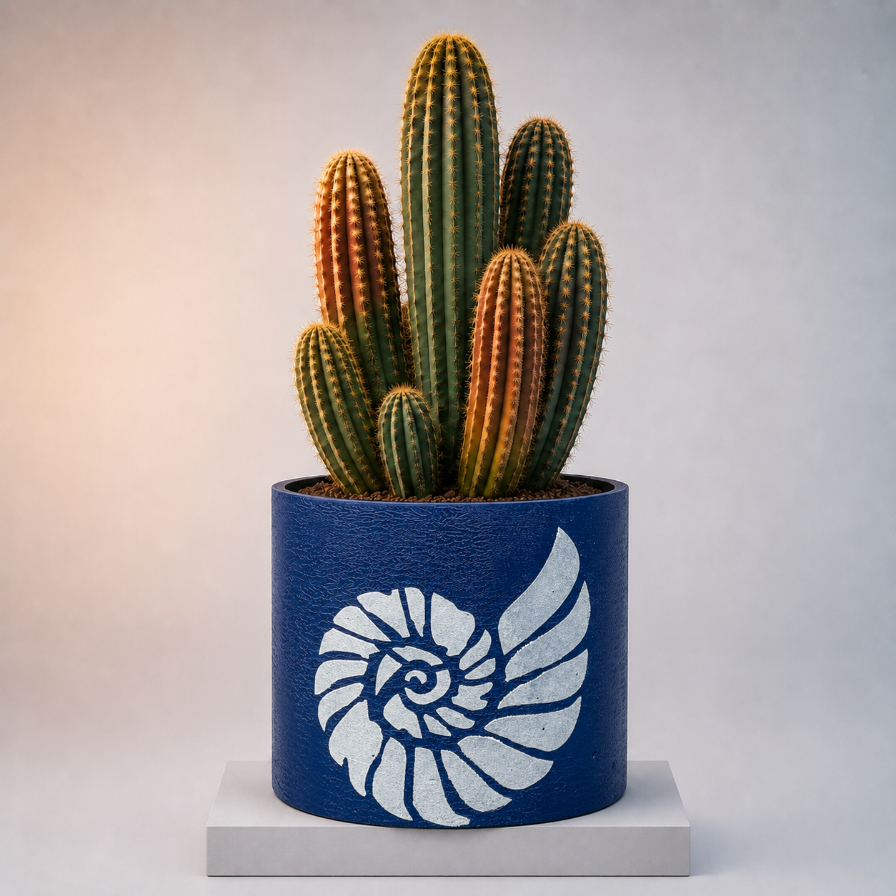 Marin Nautilus