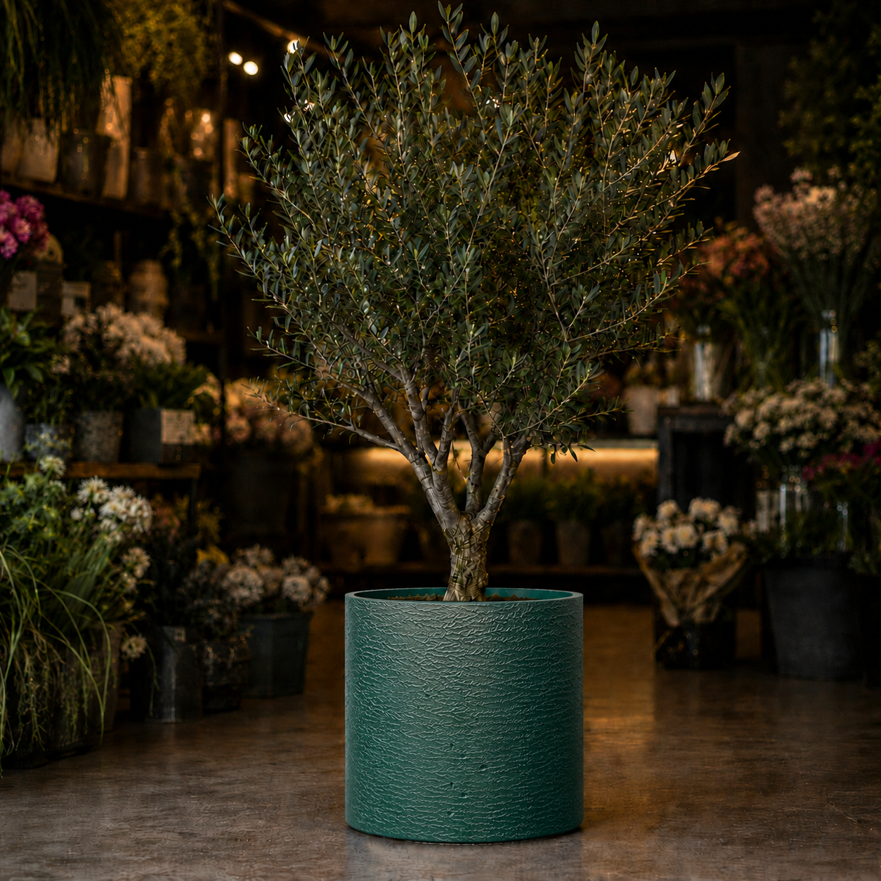 Special Forest