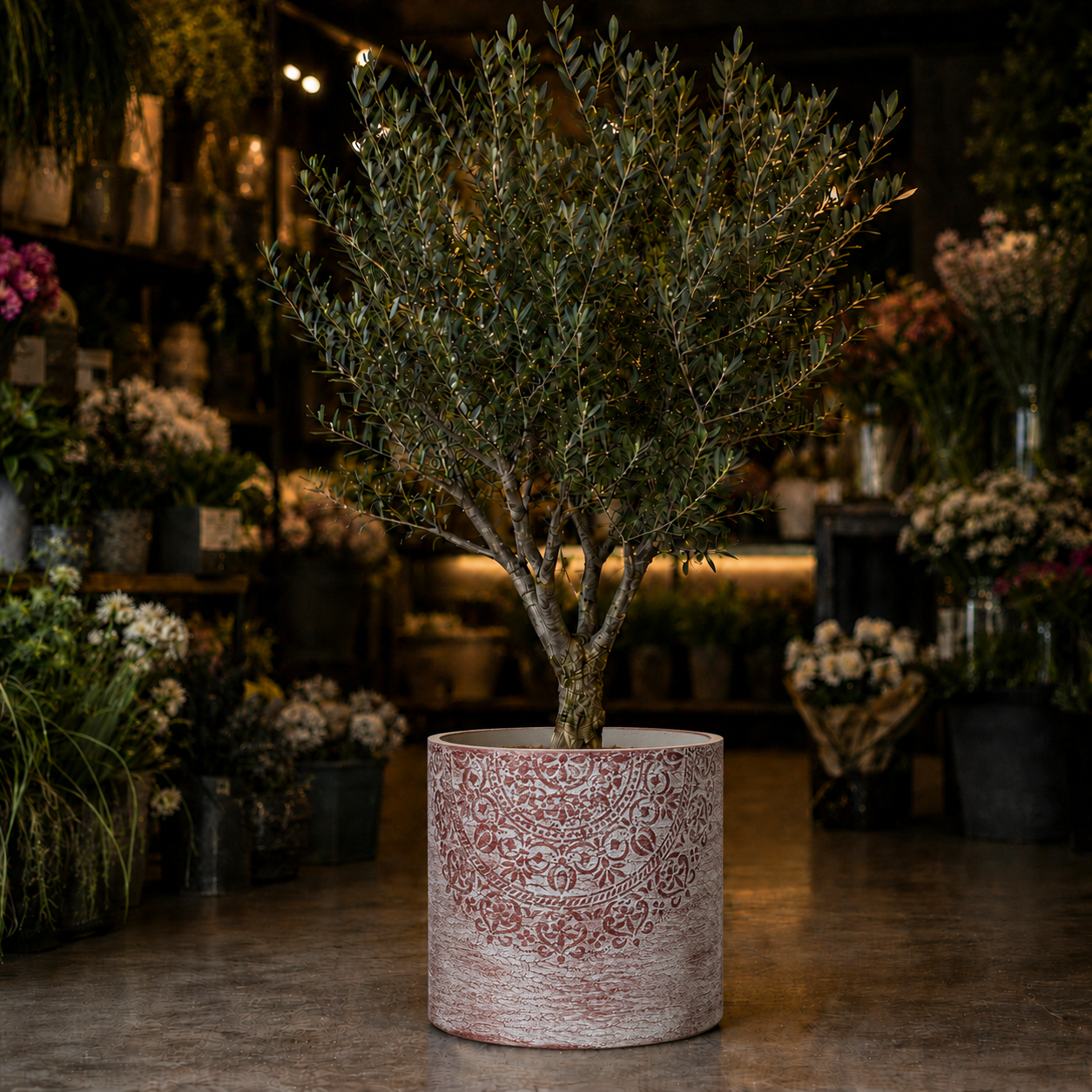 Premium Rosa