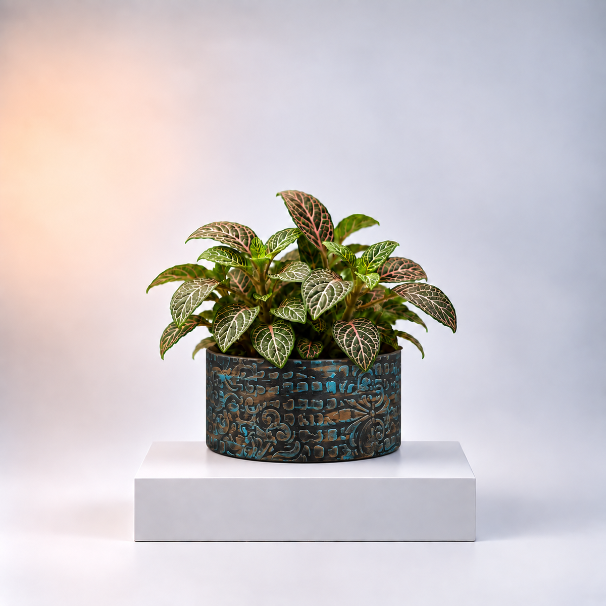 Patina Azure